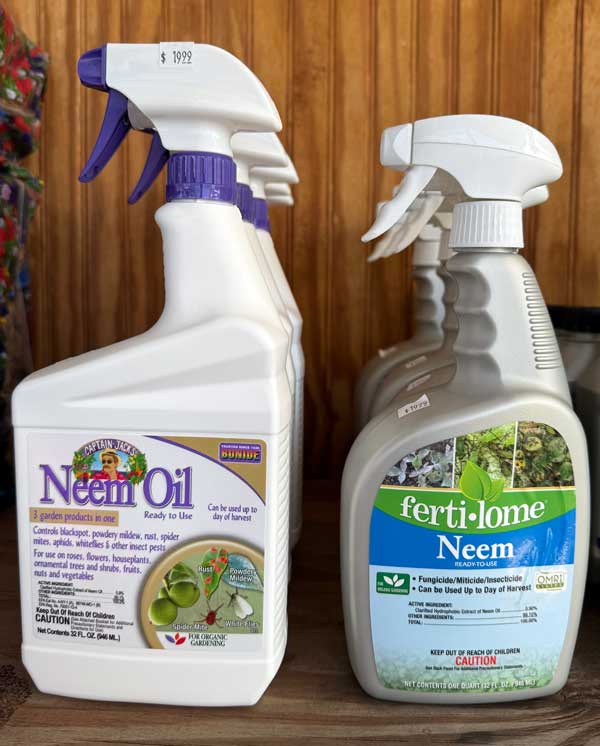 organic garden supplies neem oil fertiloam 600x746 1