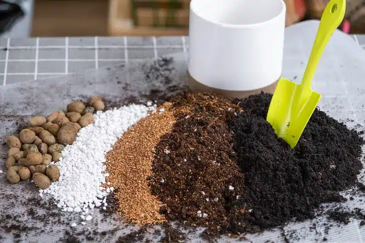 Houseplant Soil Made Simple: What You Need and How to Mix It